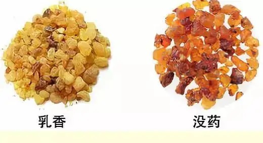 乳香，Boswellia Carterri Birdw 橄欖科