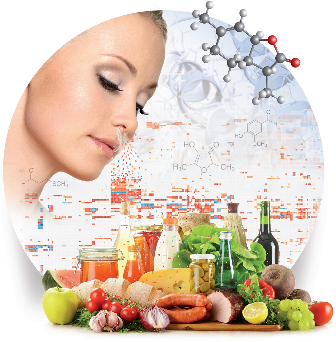 人類嗅覺中的自然化學特征:未來生物技術的食源性視角(1)